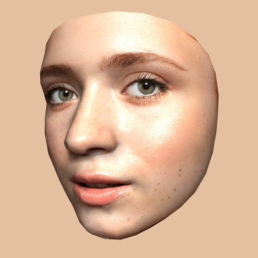 Download your mesh